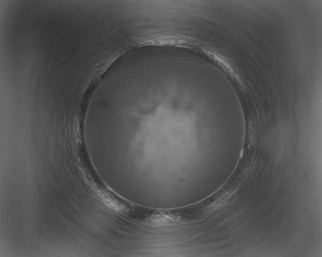 X0000084020453200702232236