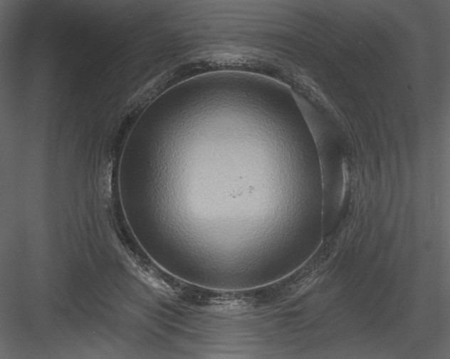 X0000084020454200702232236