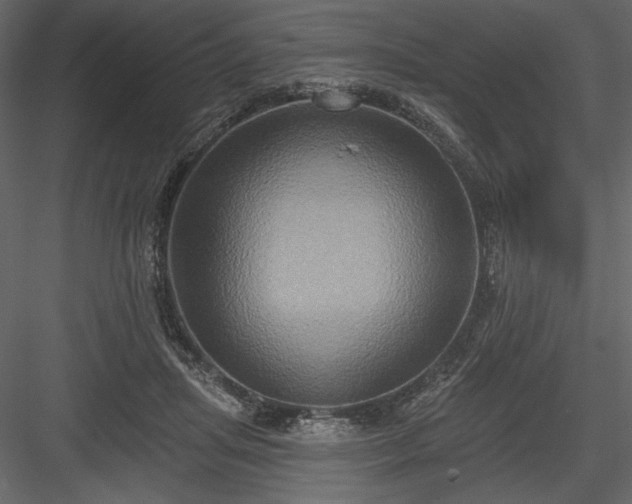 X0000084020455200702232236