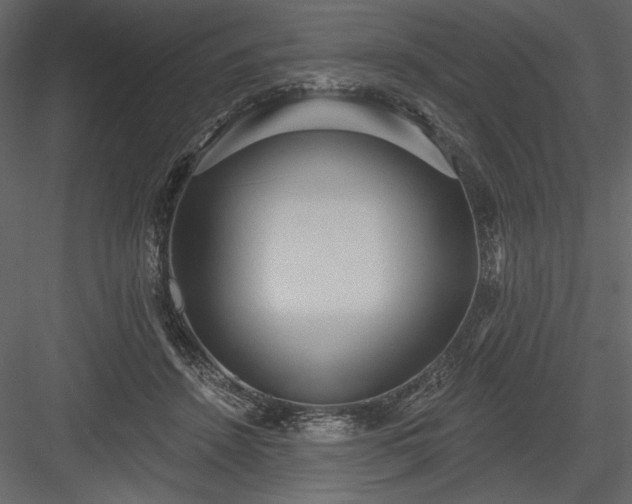 X0000084020456200702232236