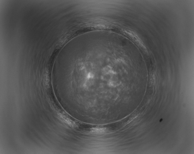 X0000084020457200702232236