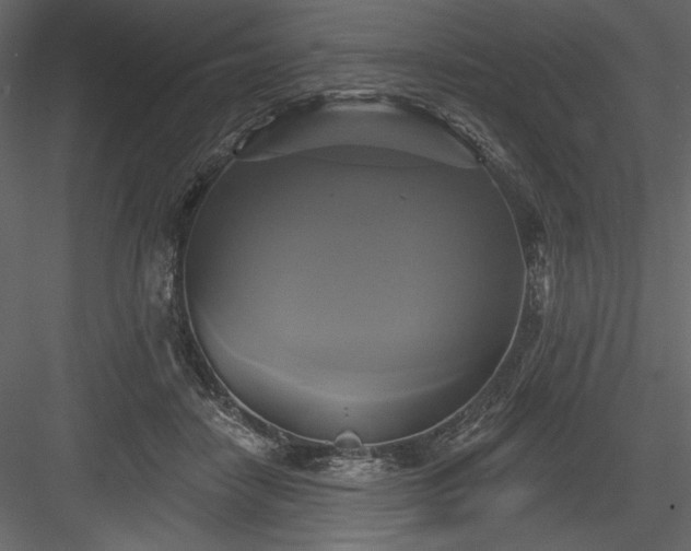 X0000084020458200702232236