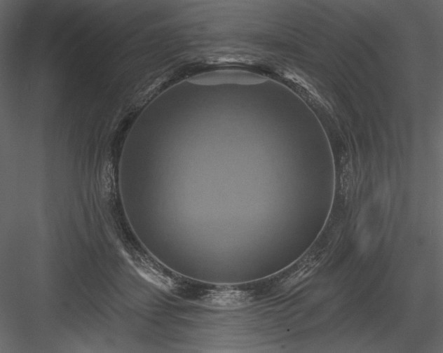 X0000084020459200702232236