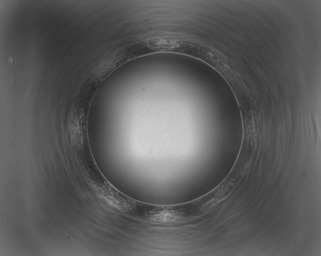 X0000084020460200702232236