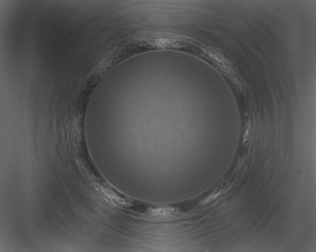 X0000084020461200702232236