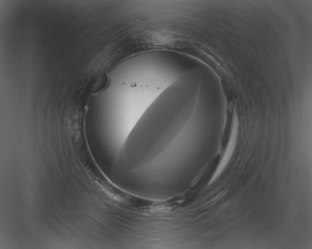 X0000084020462200702232236