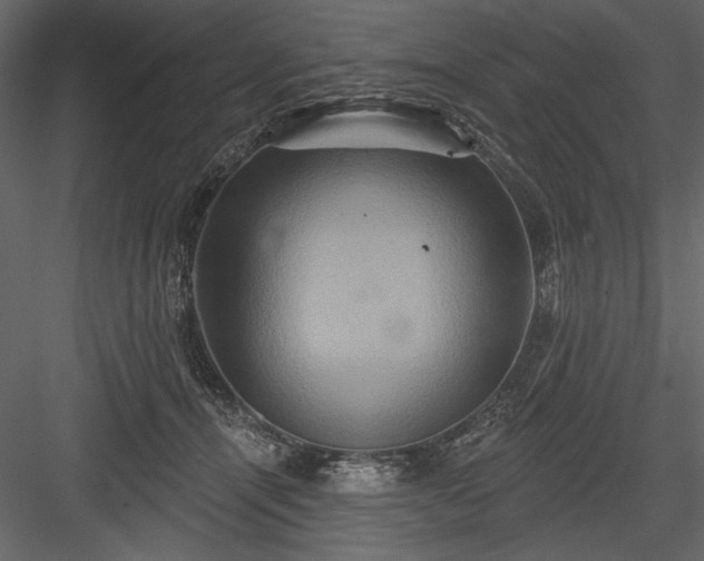 X0000084020464200702232236