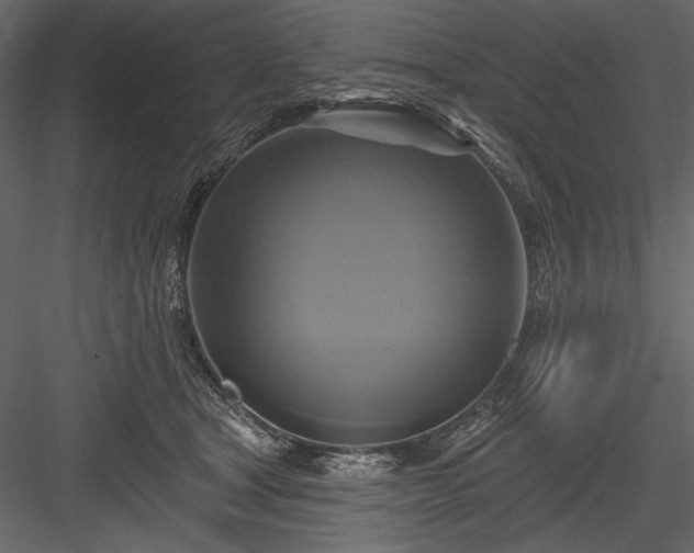 X0000084020465200702232236