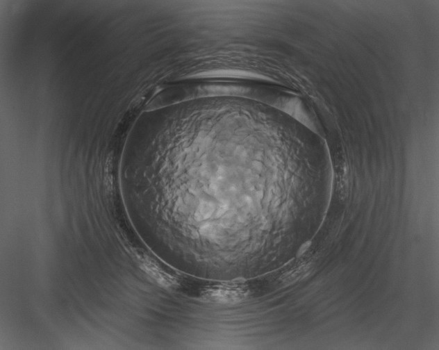 X0000084020466200702232236