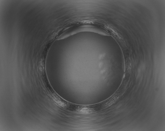 X0000084020467200702232236