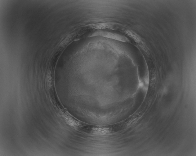 X0000084020469200702232236