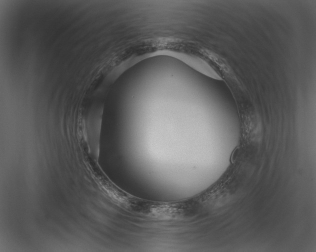 X0000084020470200702232236