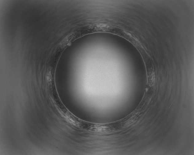 X0000084020472200702232236