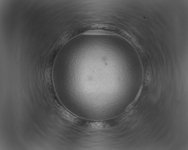 X0000084020473200702232236