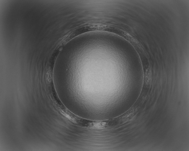 X0000084020474200702232236