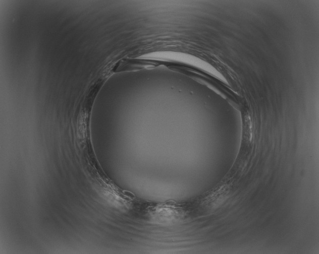 X0000084020475200702232236