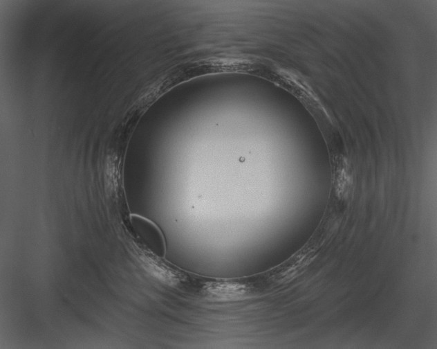 X0000084020476200702232236