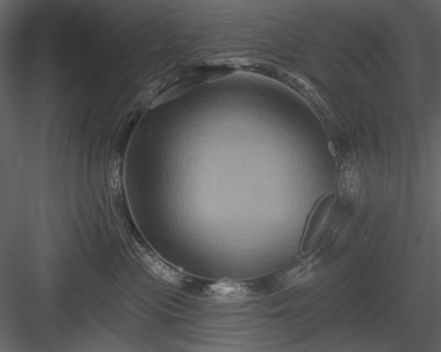 X0000084020477200702232236