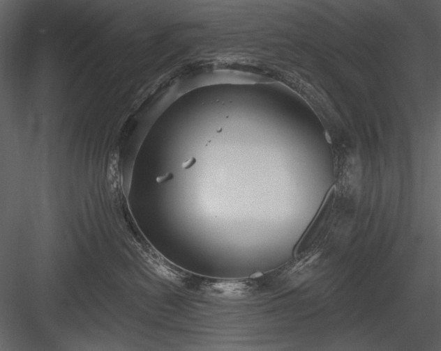 X0000084020478200702232236