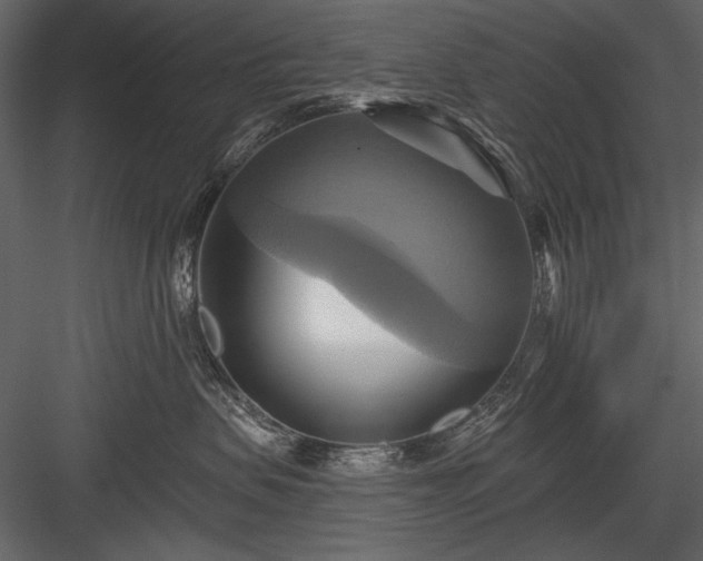 X0000084020479200702232236