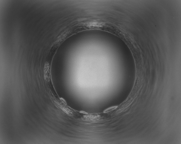 X0000084020480200702232237