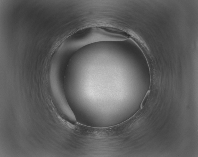 X0000084020481200702232236