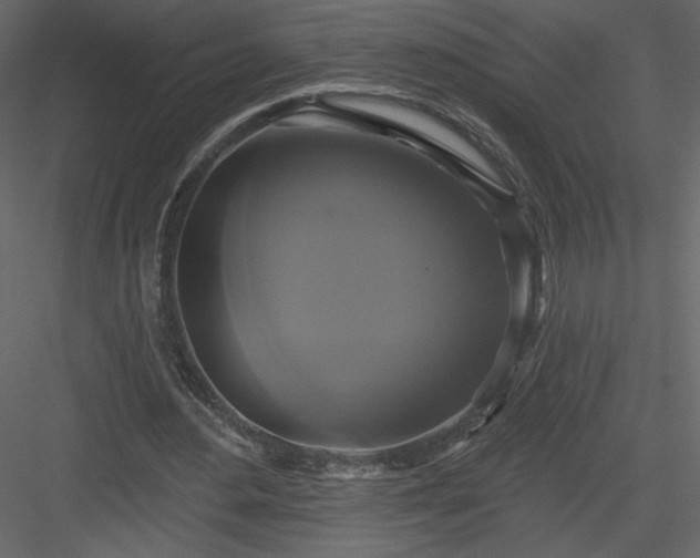 X0000084020484200702232236