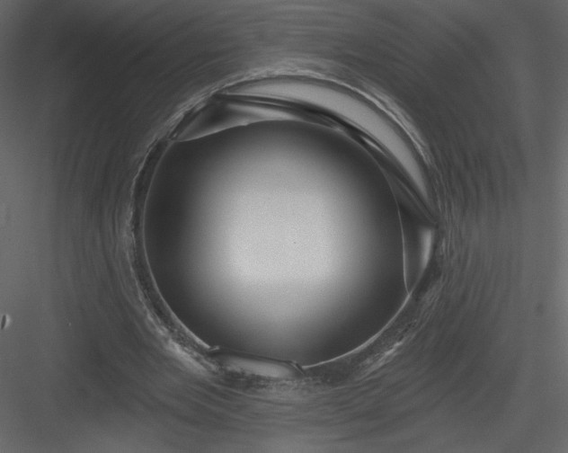 X0000084020485200702232236