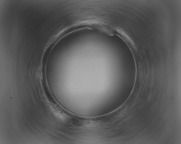 X0000084020486200702232236