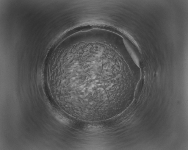 X0000084020487200702232236