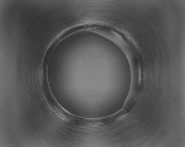 X0000084020488200702232236