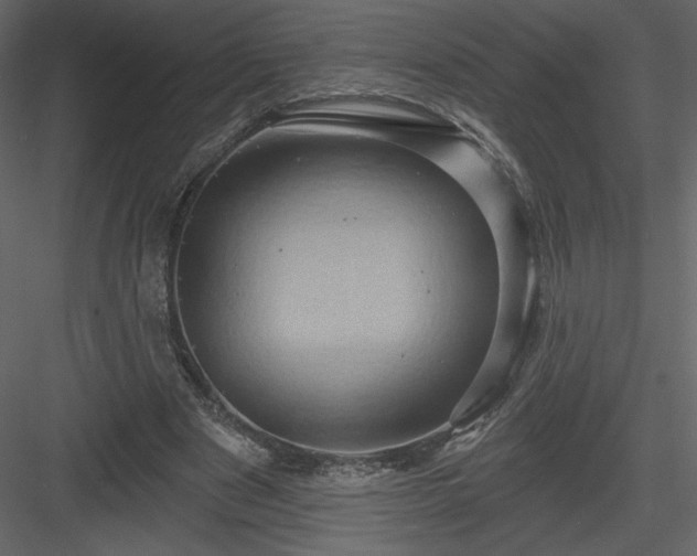 X0000084020489200702232236