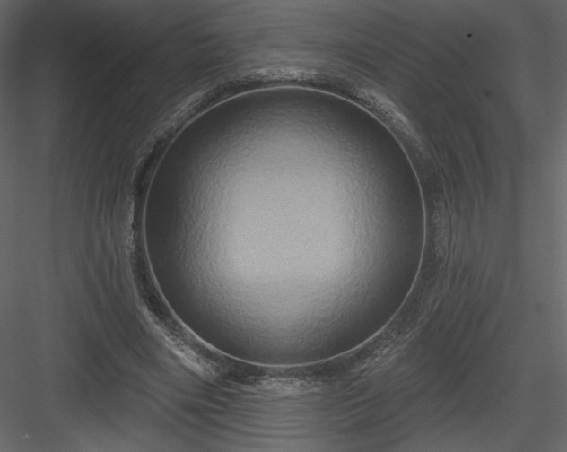 X0000084020490200702232236