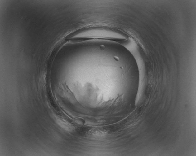 X0000084020491200702232236