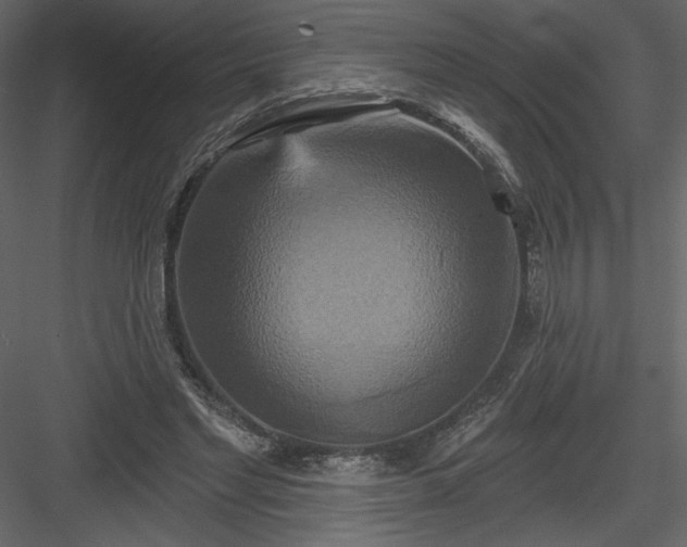 X0000084020493200702232235