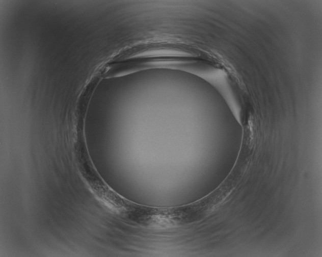 X0000084020496200702232235