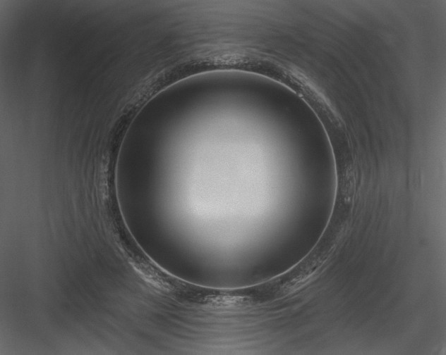 X0000084020497200702232235