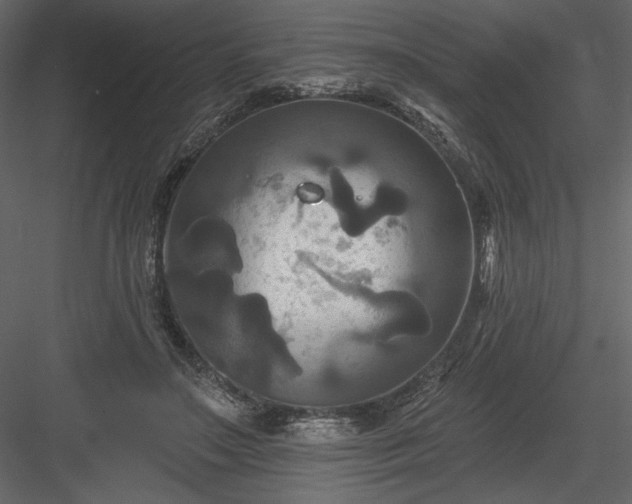 X0000084020499200702232235