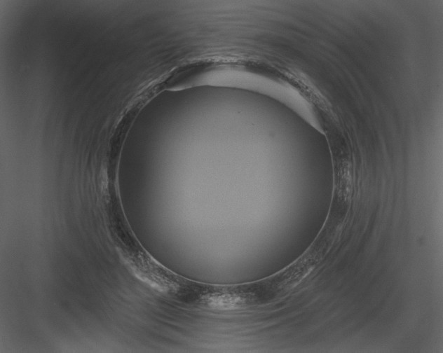 X0000084020500200702232235