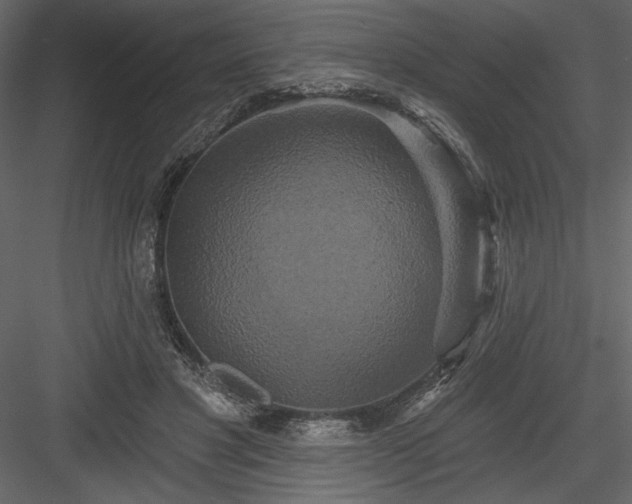 X0000084020501200702232235