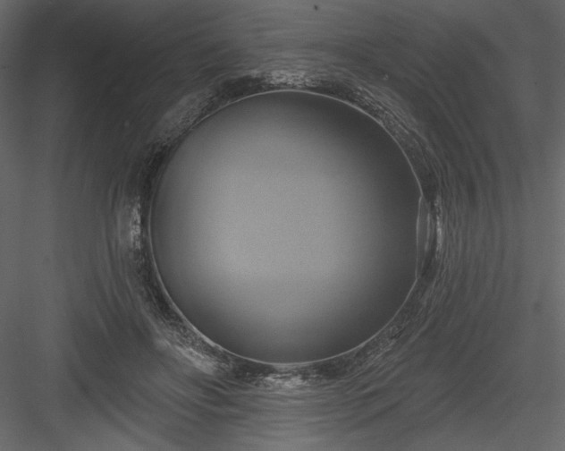 X0000084020502200702232235