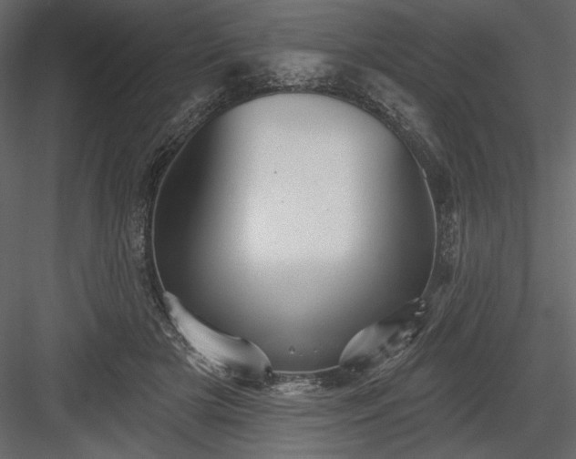 X0000084020505200702232235