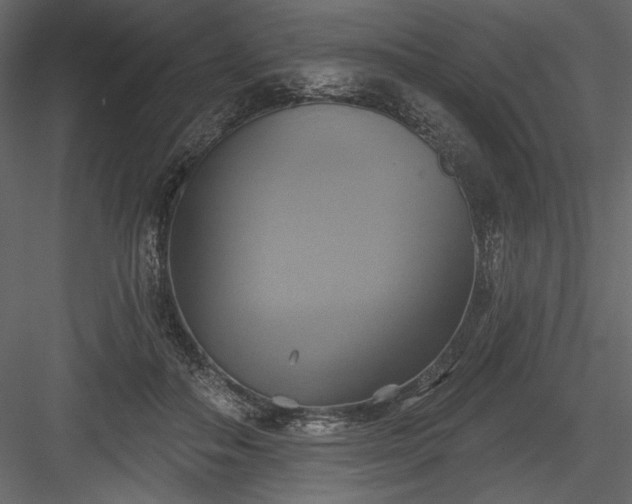 X0000084020506200702232235