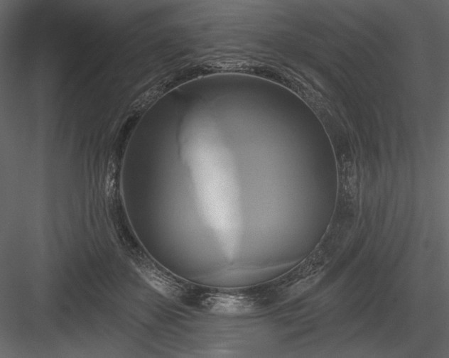 X0000084020507200702232235