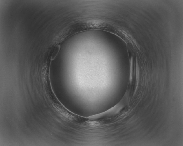 X0000084020509200702232235