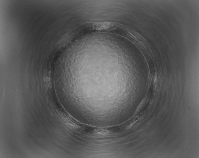 X0000084020510200702232235