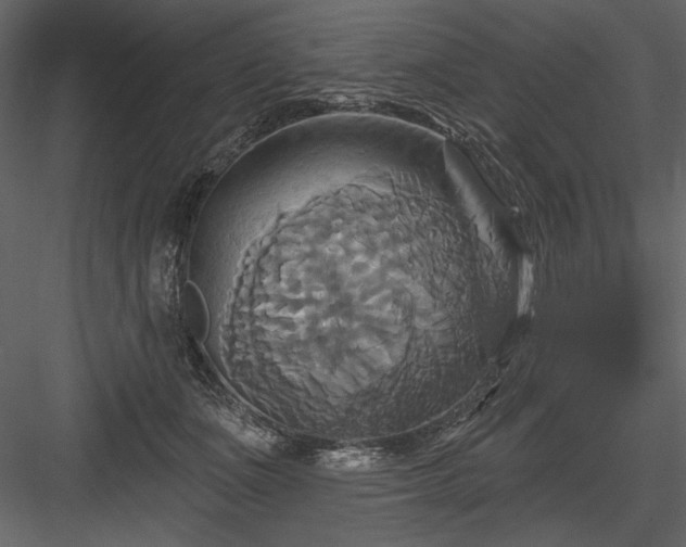 X0000084020511200702232235