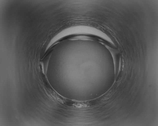 X0000084020512200702232235