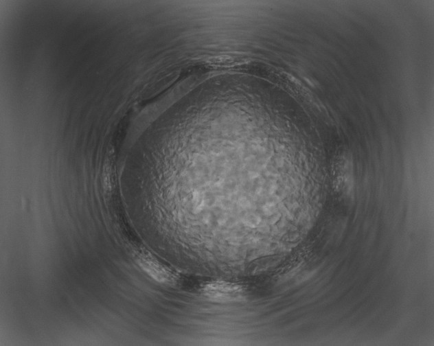 X0000084020515200702232235