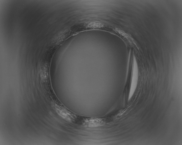 X0000084020517200702232235